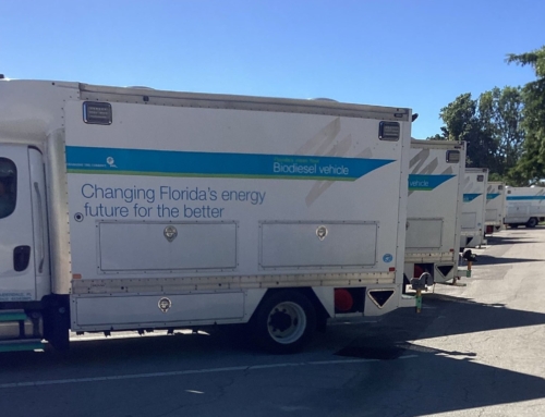 FPL Reports Neighborhood Infrastructure Improvements