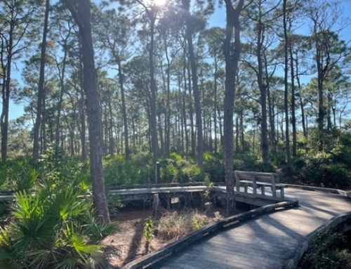 Little Gem in the Green Jewel