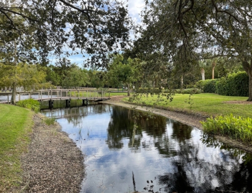 Dry Season Drives Drought