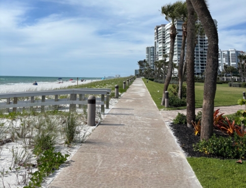 The Commons Beach-walk